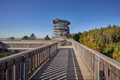 Gemeinde St._Englmar Landkreis Straubing-Bogen Maibrunn Waldwipfelweg Aussichtsturm (Dirschl Johann) Deutschland SR